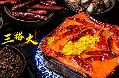 苍南县VI设计：城市与企业品牌联动的视觉纽带